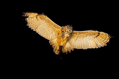 @night von vdzwanfotografie