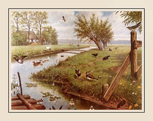 Schultafel M.A. Koekkoek - "Auf der Wiese"