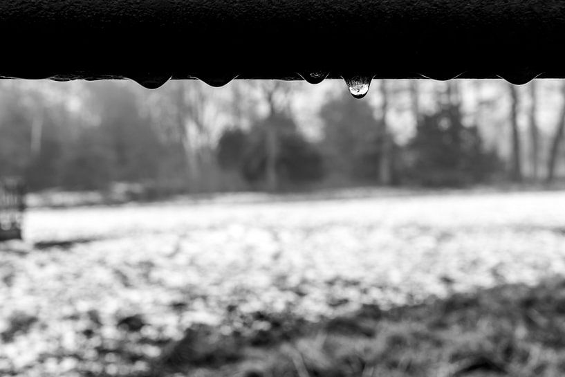 Winter Drops by Dutch Creator