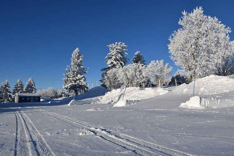 The road to church in winter by Claude Laprise