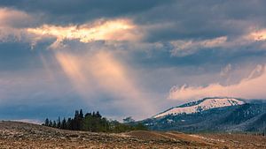 Sonnenharfen im Grand Teton N.P., Wyoming