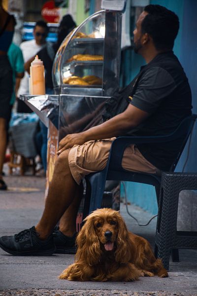 The streets of Cartagena by Kim Michiels