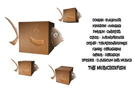 Music box fish by Grüntyers .