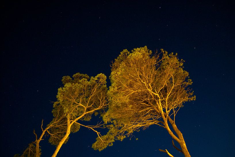 Night shots by Tim Jung