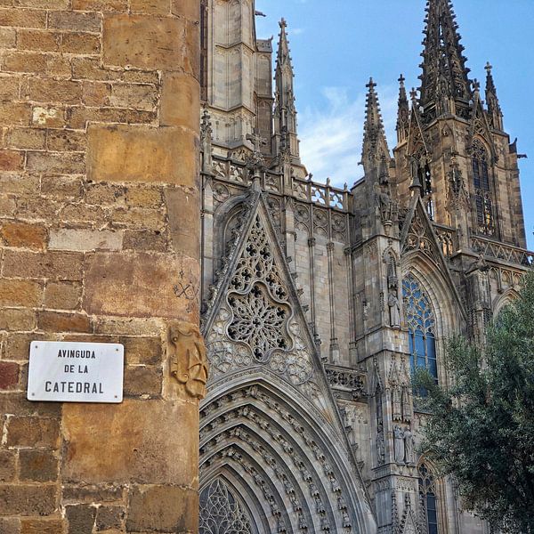 Avinguda De La Catedral, Barcelona, Spanje van Raymond Wijngaard