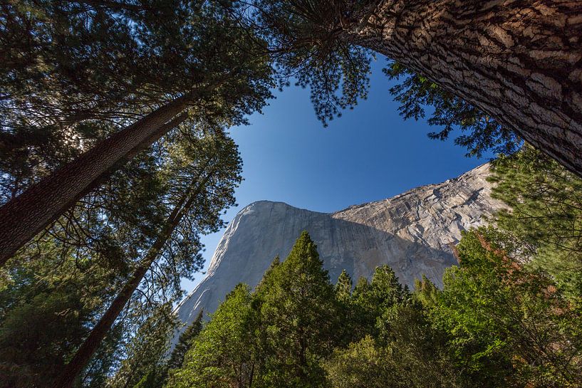 El Capitan Yosemite van Jeffrey Van Zandbeek