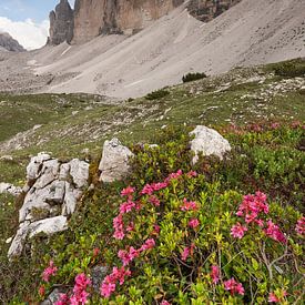 The mighty 3 Peaks by Anselm Ziegler Photography