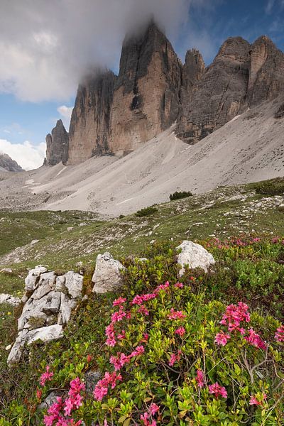 Die mächtigen 3 Zinnen von Anselm Ziegler Photography