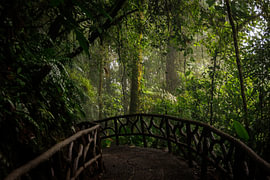 Costa Rica – wo Natur, Abenteuer und pure Schönheit aufeinander treffen