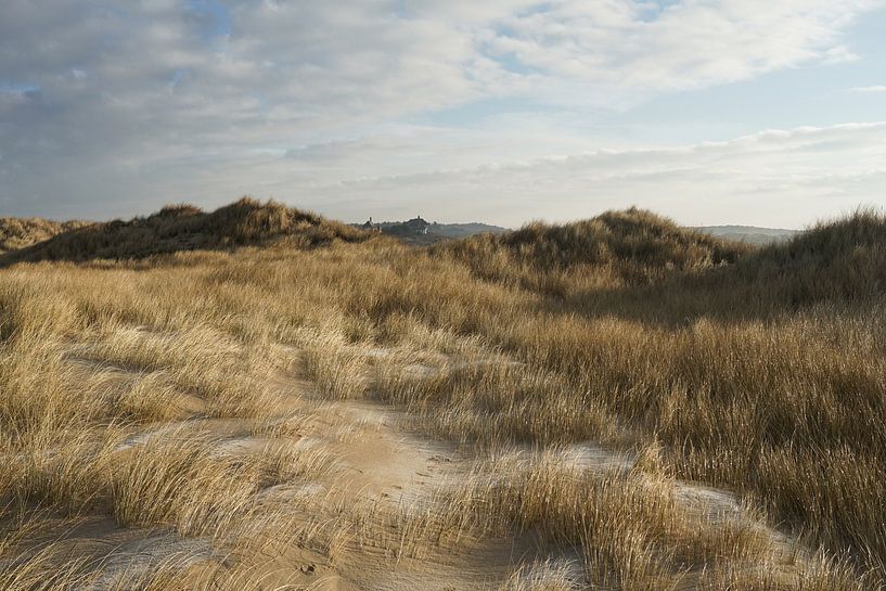 View of the dunes near Bergen aan Zee by Jos van den Berg