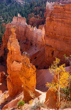 Herfst in Bryce Canyon, Verenigde Staten van Adelheid Smitt