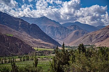 vallée verte de l'Elqui sur Thomas Riess