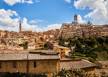 Siena in de zomer van Graham Forrester