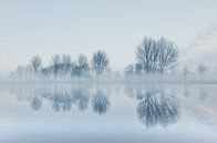 Winterlandschap met mist. van Bart van Dam thumbnail