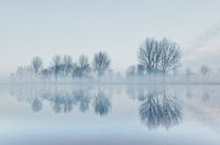 Winterlandschap met mist.
