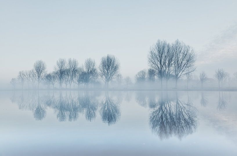 Winterlandschap met mist. von Bart van Dam