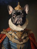 Black French Bulldog