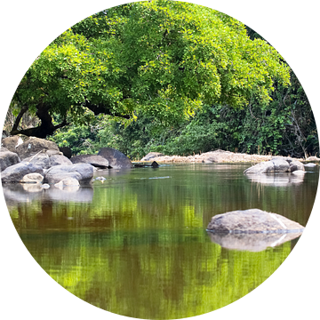 Spiegelbeelden (2) in de Sipaliwinirivier in Suriname