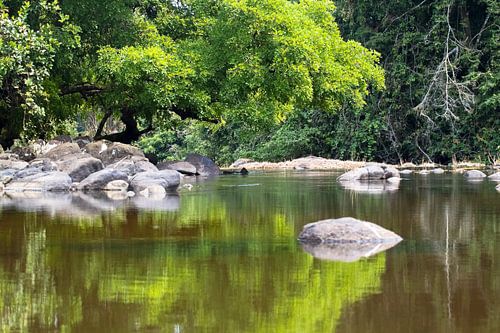 Spiegelbeelden (2) in de Sipaliwinirivier in Suriname