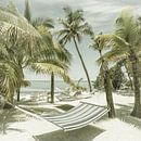 FLORIDA KEYS Fantastische plek | Vintage van Melanie Viola thumbnail