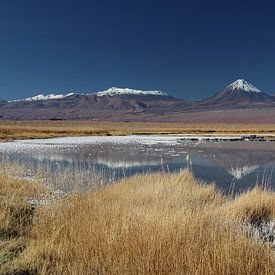 Reflection of peaks of the Andes in a saltwater lake near San Pedro de Atacama in Chile by A. Hendriks
