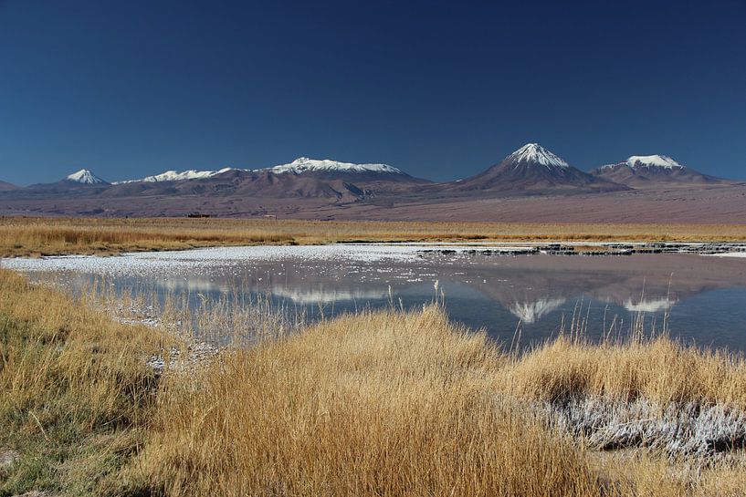 Reflection of peaks of the Andes in a saltwater lake near San Pedro de Atacama in Chile by A. Hendriks