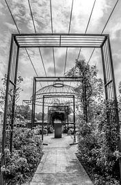 Lignes sur Tanja de Boer