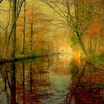 Lac de la forêt sur Vera Laake