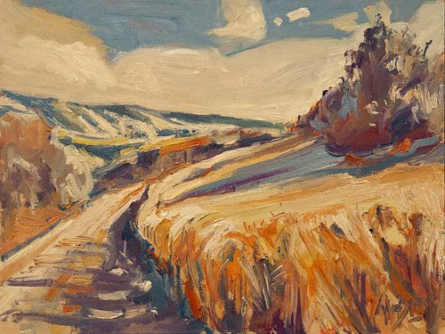 Graanvelden in het Geuldal