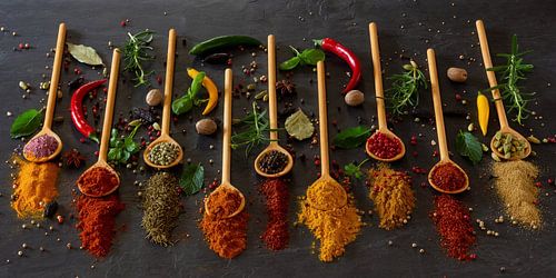 Kräuter und Gewürze auf Holzlöffel