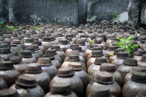 Gläser mit chinesischem Reiswein