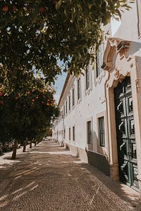 Die Straßen von Faro voller Orangenbäume, Algarve Portugal