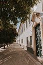 Les rues de Faro pleines d'orangers, Algarve Portugal par Manon Visser Aperçu