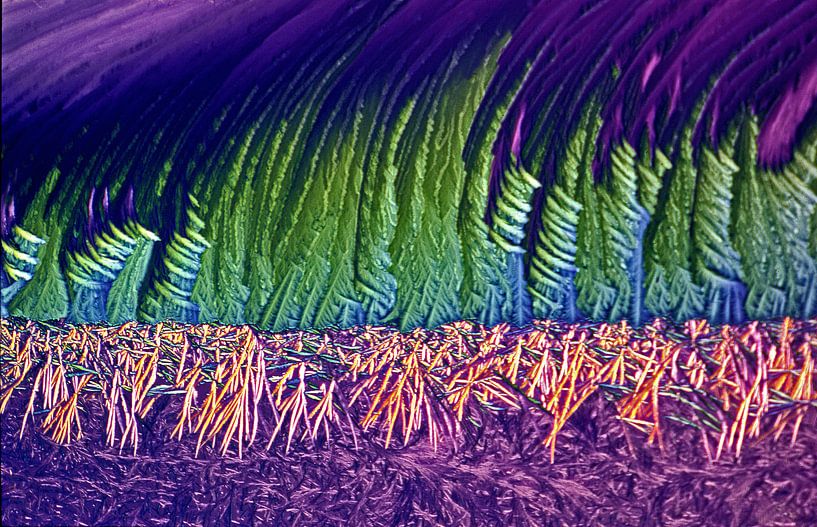 Methionine van André Wieringa