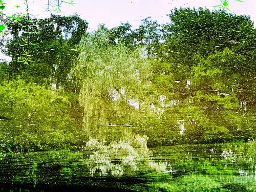 Urban Reflections 85