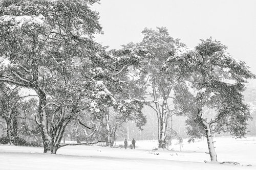 Enjoying the snowy landscape