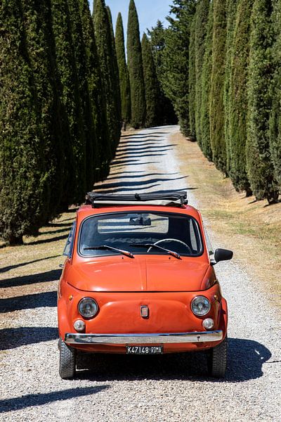 Fiat in cipressenlaan (7) van Jolanda van Eek en Ron de Jong
