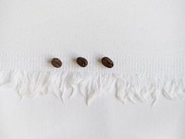 coffee beans on white canvas by Carina Meijer ÇaVa Fotografie