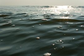 Summer pleasure by Rob Donders Beeldende kunst