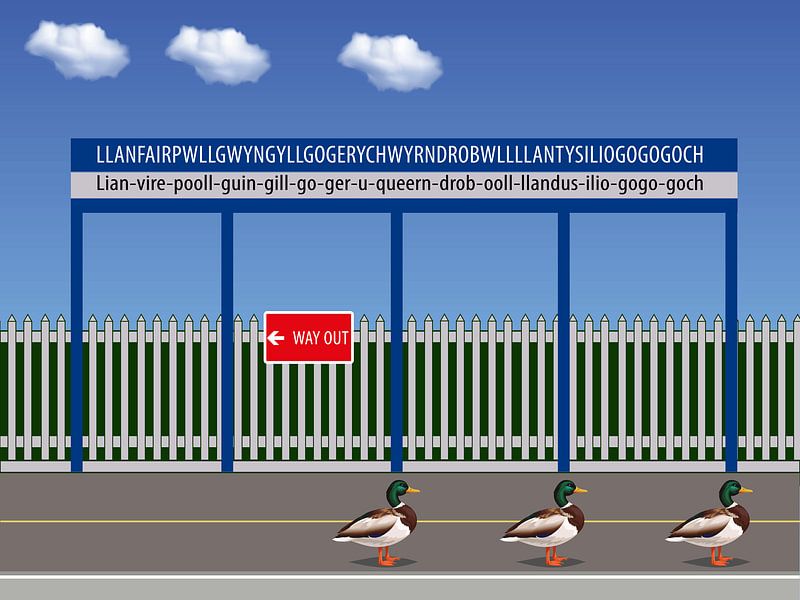 261. Darned Ducks by Domstad Rudie