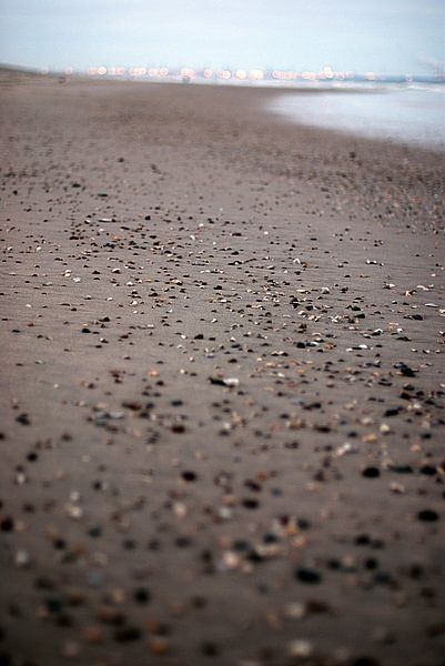 Schelpenzand by Björn Massuger