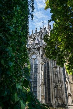 Romantisch doorkijkje op de Sint Jan Kathedraal in Den Bosch