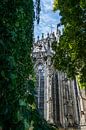 Romantic view of the St. John's Cathedral in Den Bosch by Patrick Verhoef thumbnail