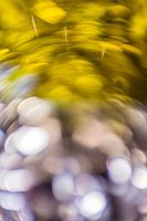 Lente en Lucht