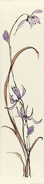Spring II - Lavender Orchid, Chris Paschke van Wild Apple