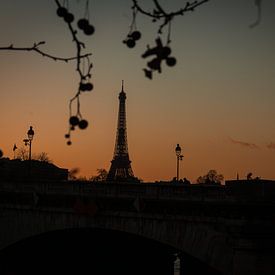 Eiffeltoren tijdens zonsondergang, Parijs. van Bart van der Heijden