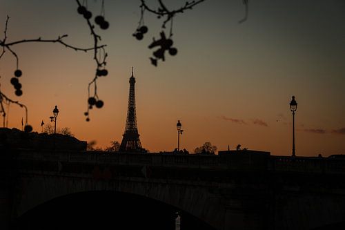 Tour Eiffel au coucher du soleil, Paris.
