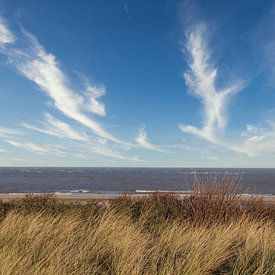 Relax on the coast of Texel. by Jose Lok