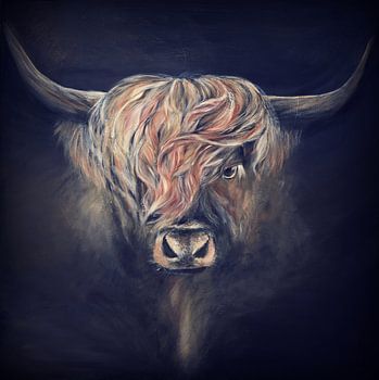 Schottischer Highlander