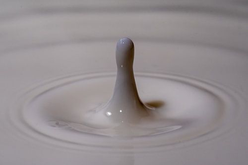 avec du lait uniquement